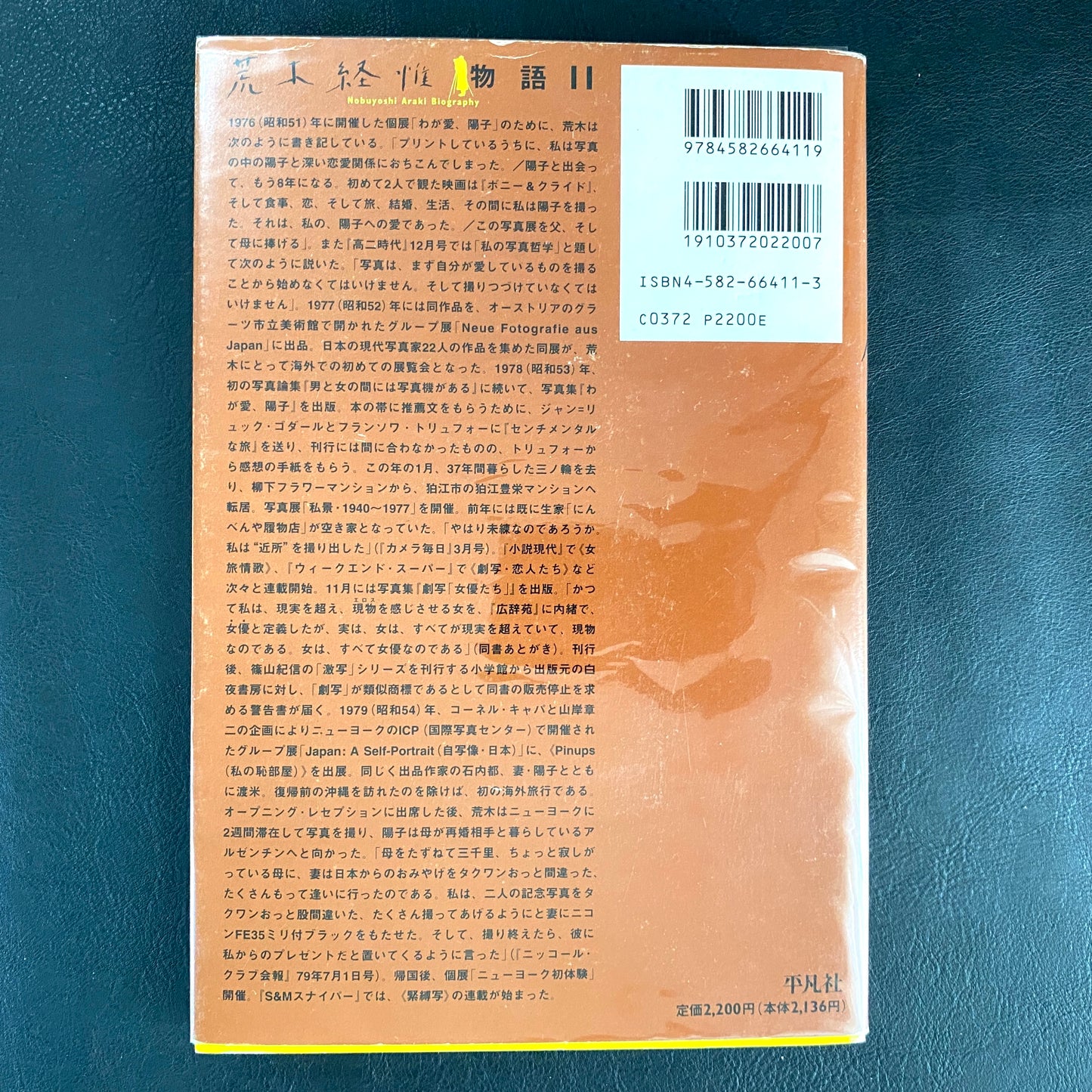 In Ruins The work of Nobuyoshi Araki 11