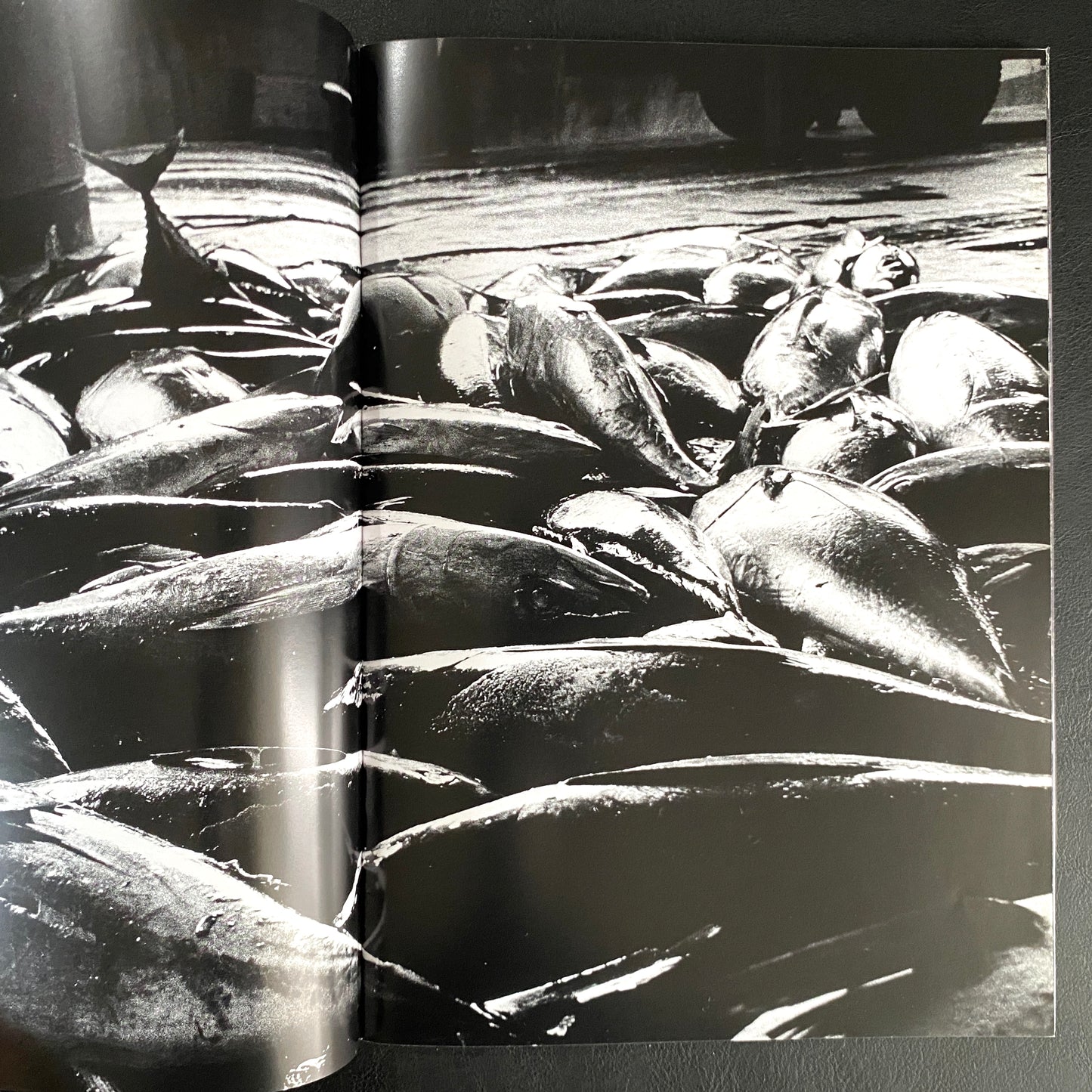DAIDO MORIYAMA it
