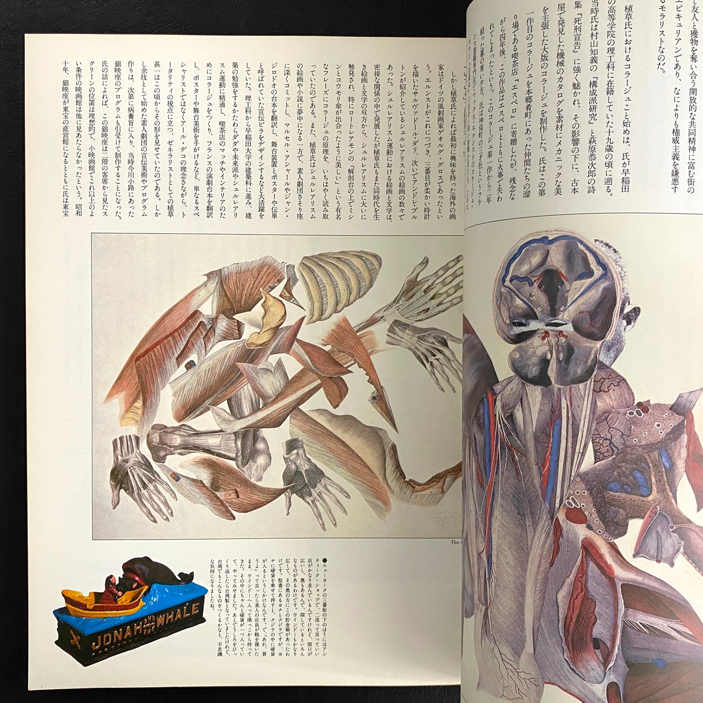 Uekusa Jinichi ism