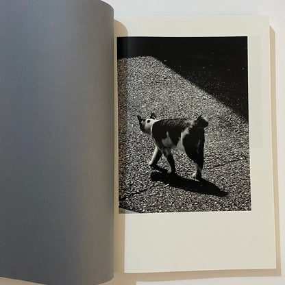 Daido Moriyama K.K. Photobook