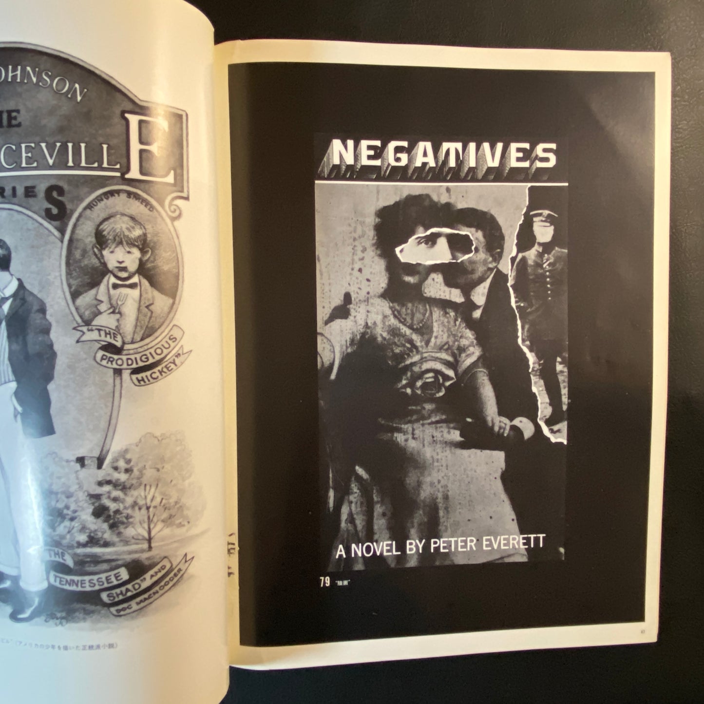 Idea Special Volume: Depicting the American Spiritual Homeland by Paul Davis