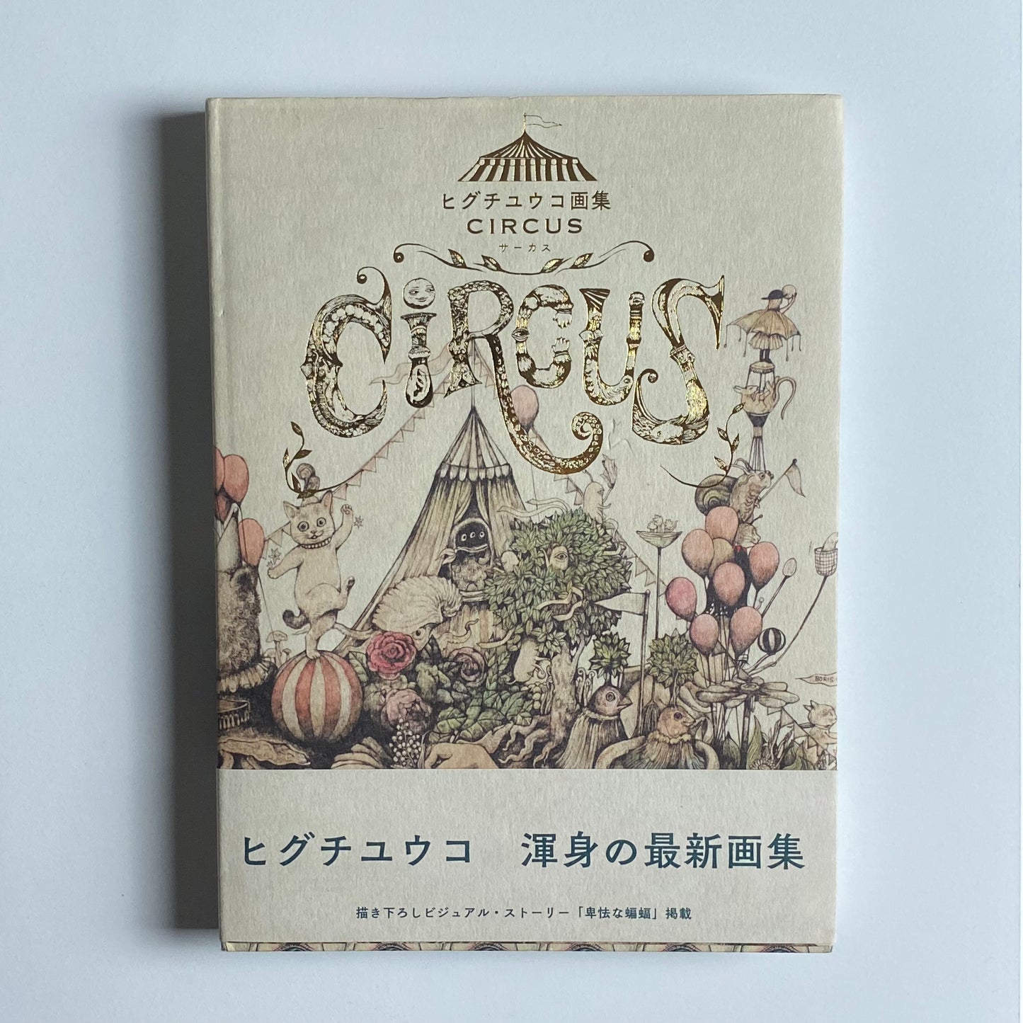 Yuko Higuchi Circus Art Book