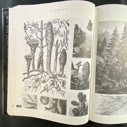 THE ENCYCLOPAEDIA of ILLUSTRATION