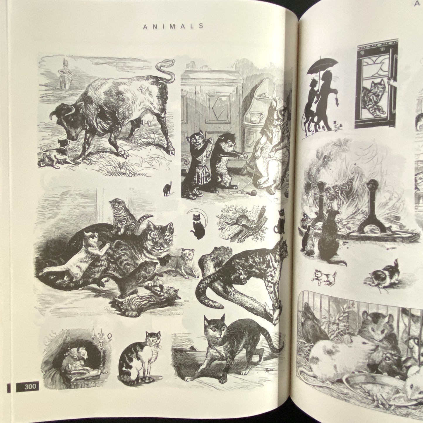 THE ENCYCLOPAEDIA of ILLUSTRATION