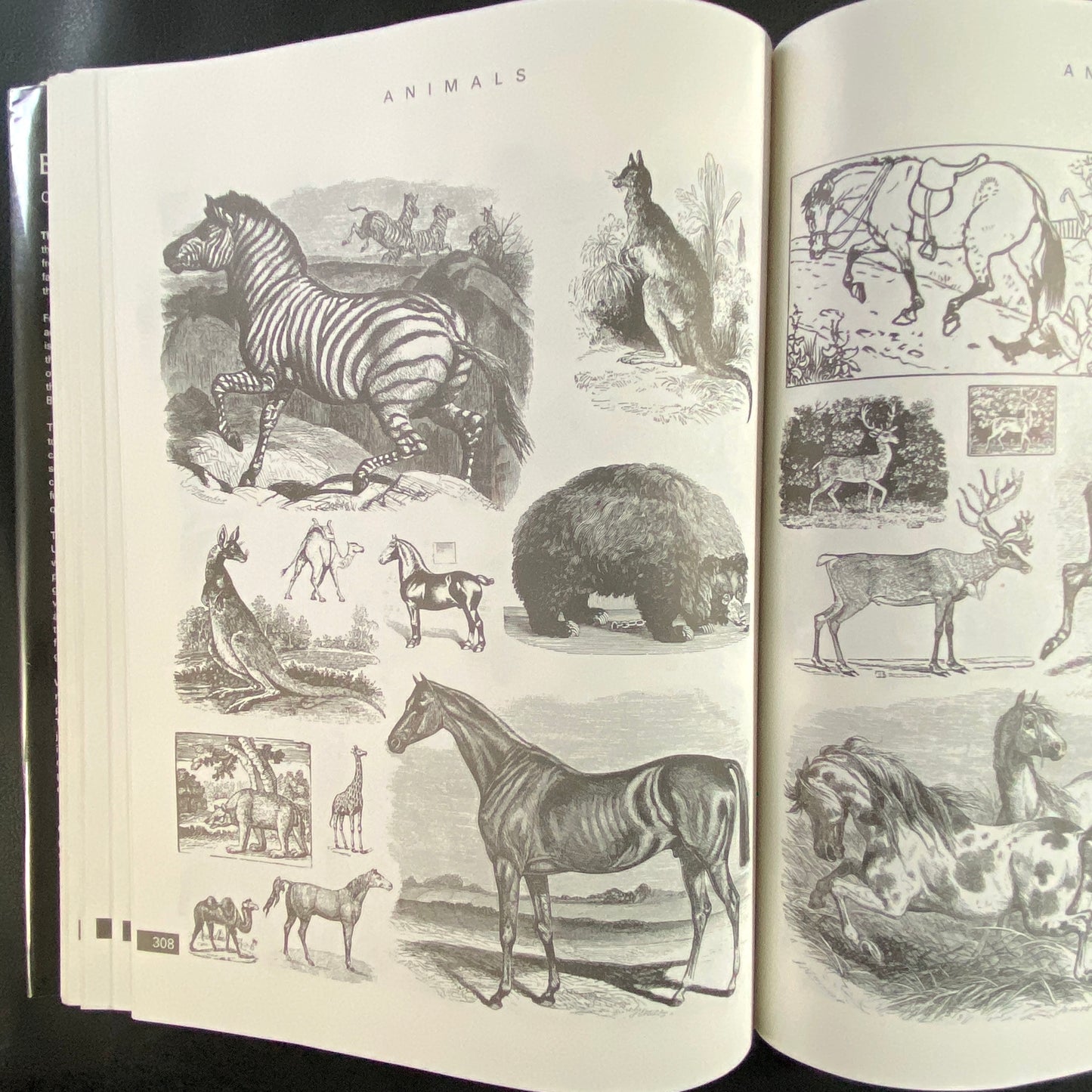 THE ENCYCLOPAEDIA of ILLUSTRATION