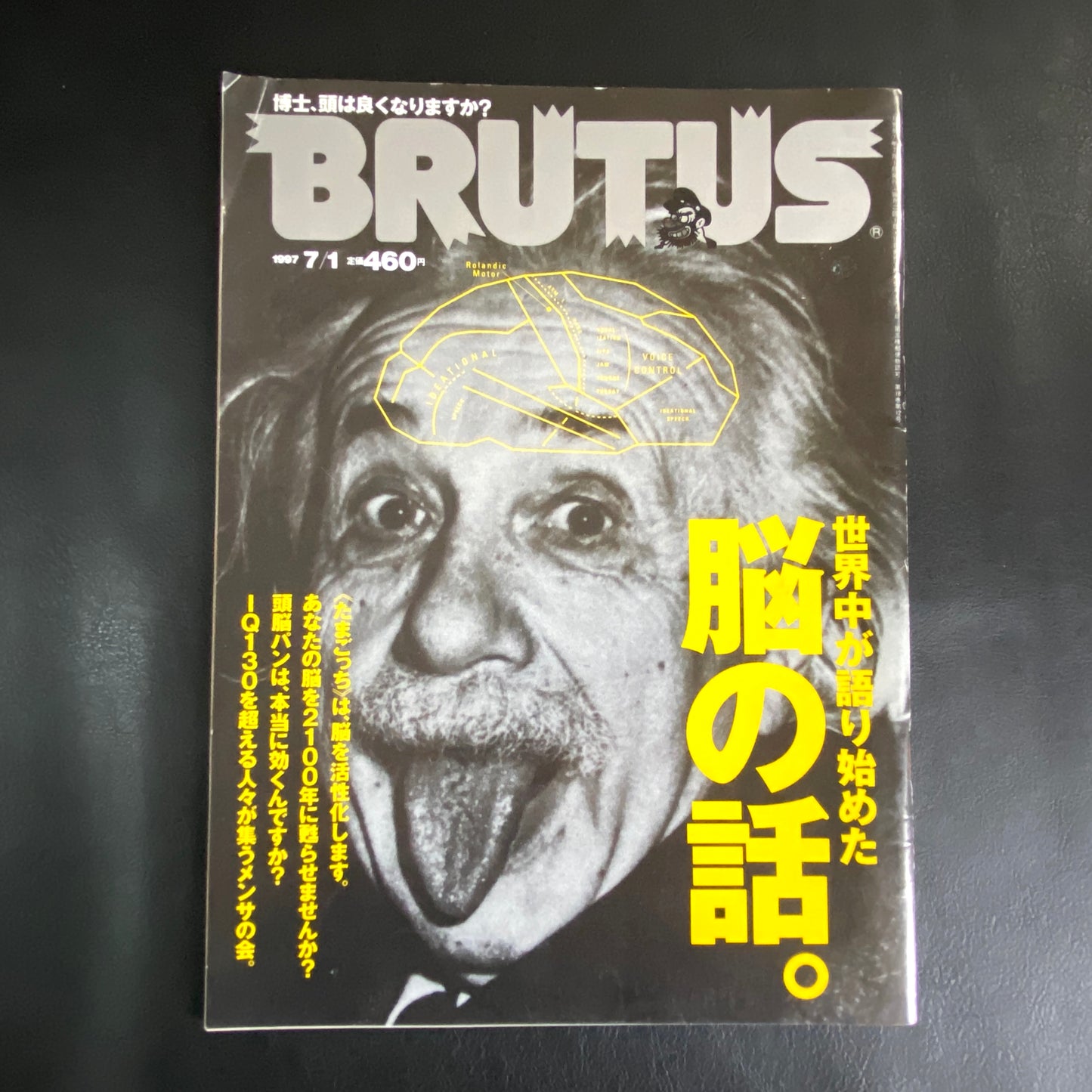 BRUTUS No.389