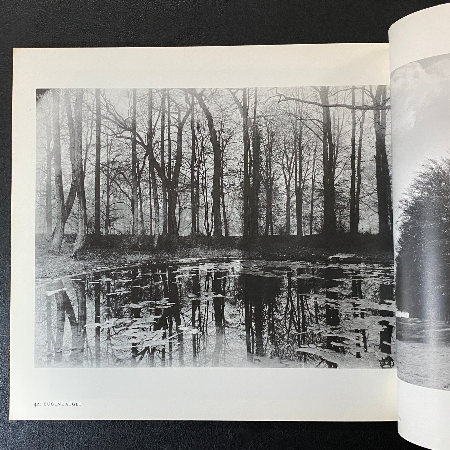 The Land twentieth century landscape photographs