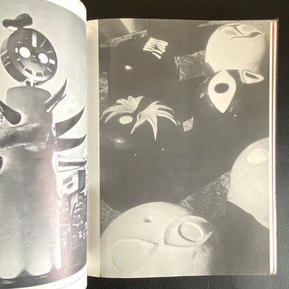 TARO OKAMOTO le baladin des antipodes