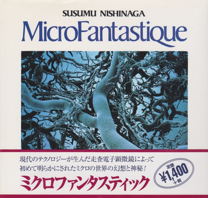 MicroFantastique