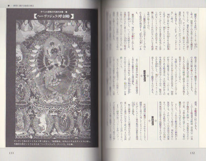 Tibetan Esoteric Buddhism (NEW SIGHT MOOK Books Esoterica Vol.11)